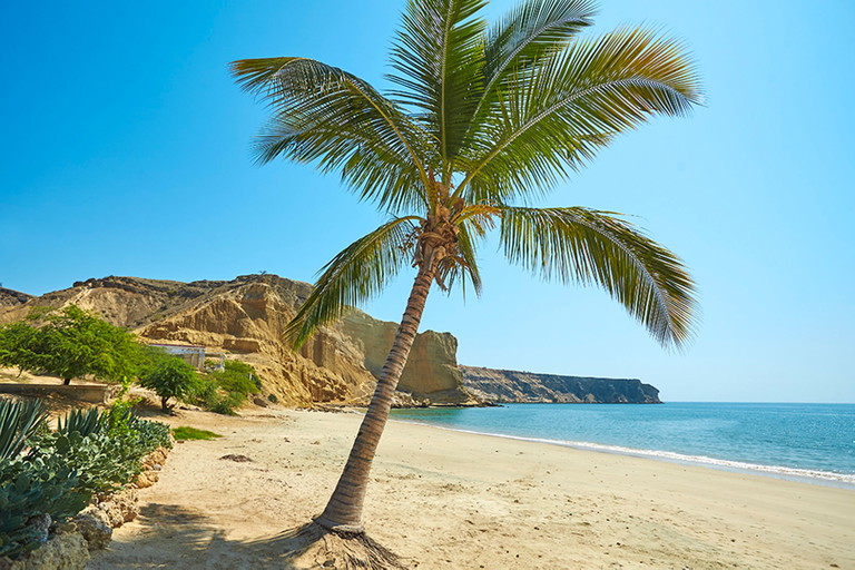 Aerial view of a tropical Atlantic beach in Liberia West Africa with lush green palm trees and golden sand