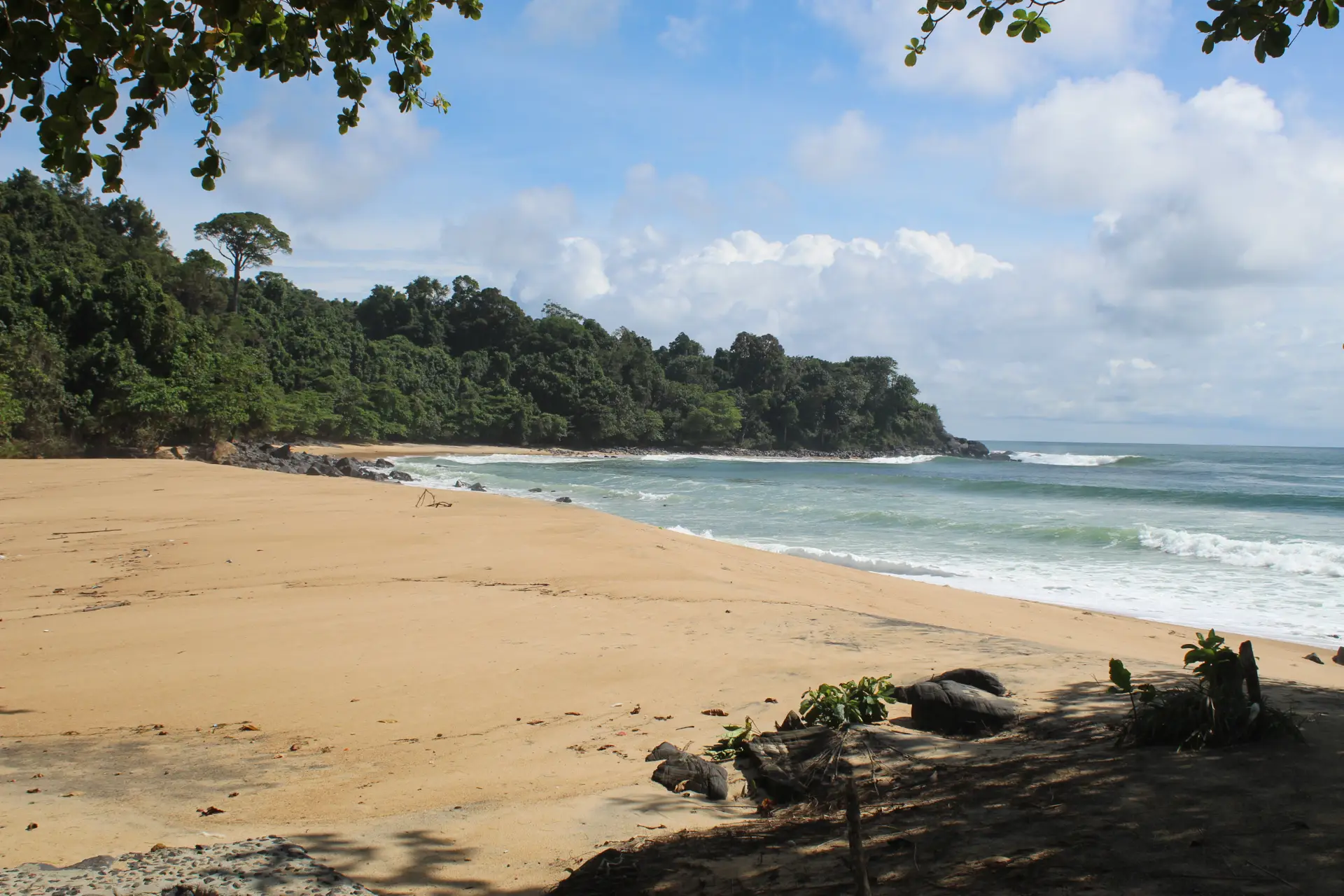 Liberia coastline with palm trees and Atlantic Ocean waves