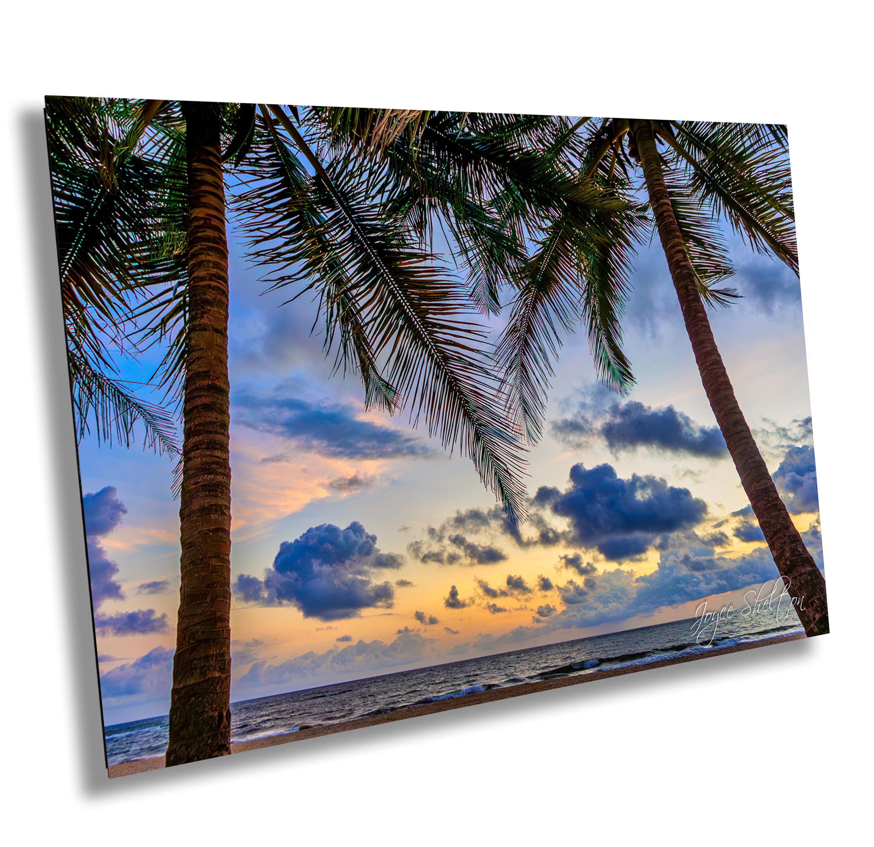 Beautiful palm-lined beach in Liberia West Africa at sunset