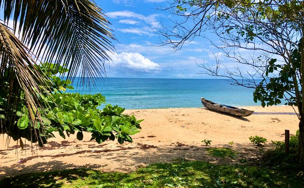 Pristine white sand beach in Liberia West Africa with palm trees and ocean waves