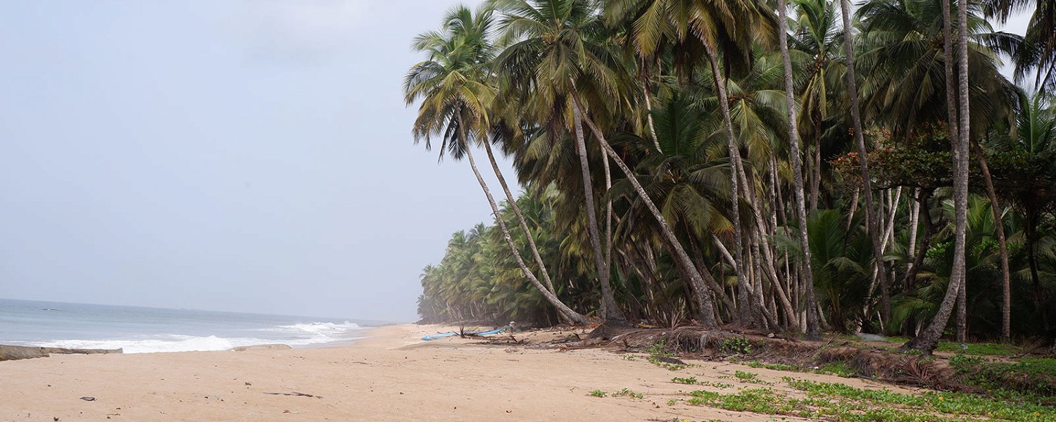 Beautiful Atlantic Ocean beach near Monrovia Liberia with palm trees