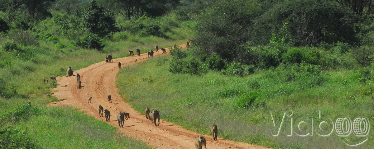 Scenic road through Liberian countryside near Tubmanburg with green hills