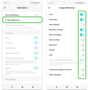 TikTok app settings screen showing account type options on mobile phone