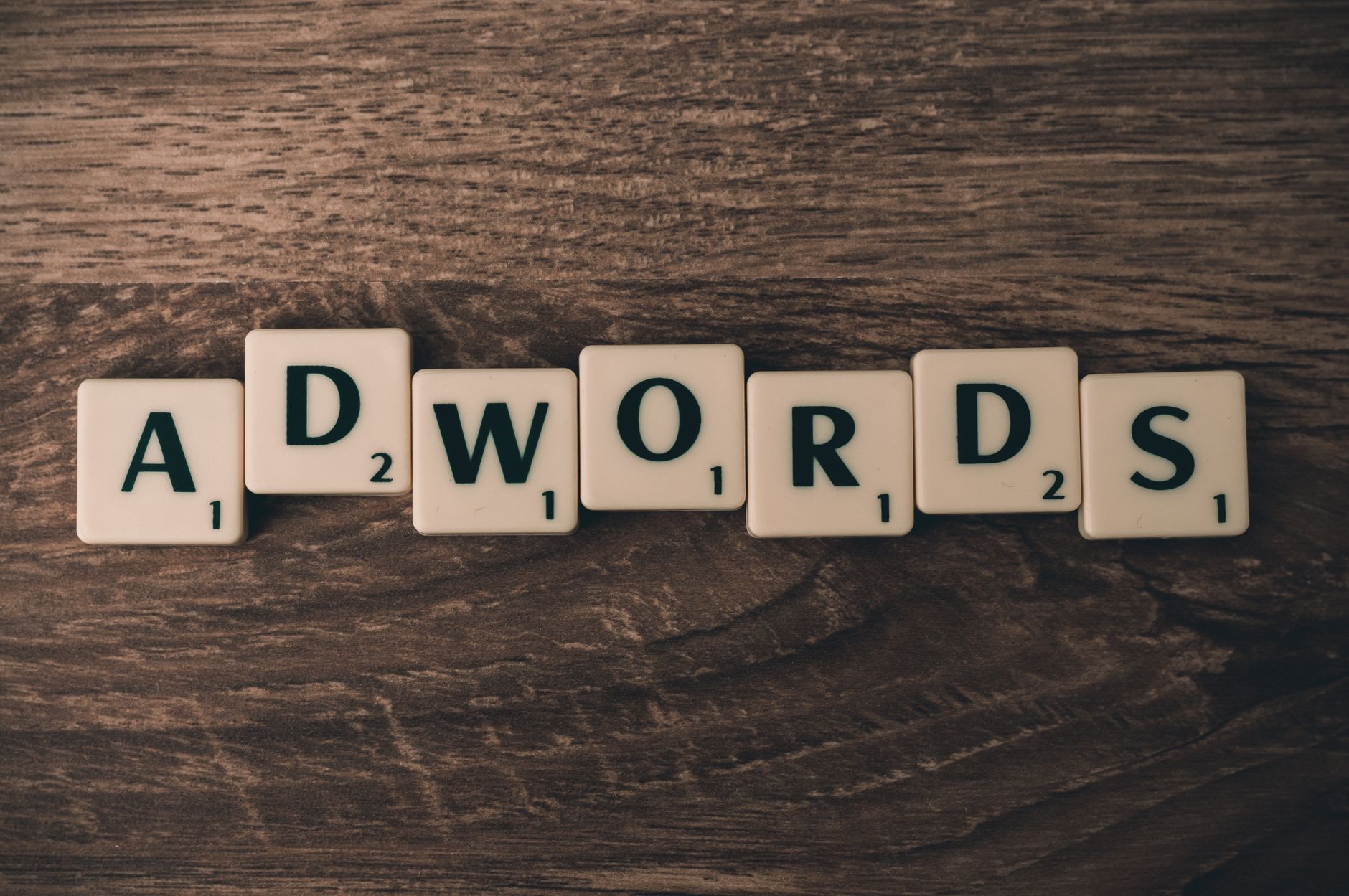 SEO analytics dashboard showing keyword rankings and organic traffic growth