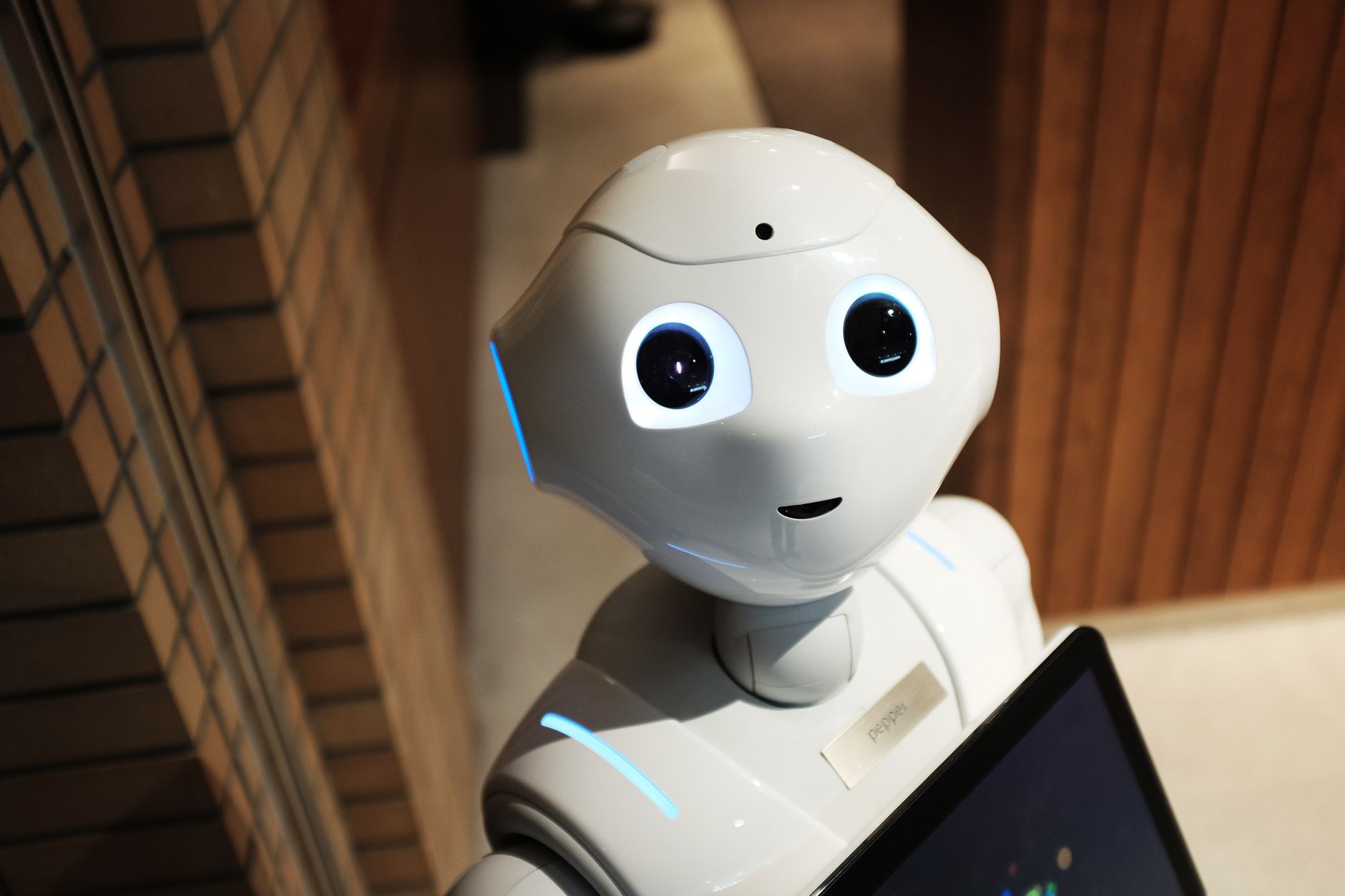 Can ChatGPT Do an SEO Audit? How to Combine AI With a Professional SEO Analysis Tool Online