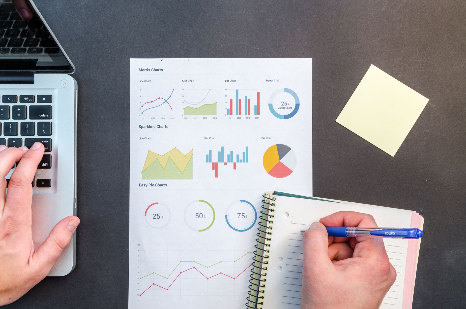 SEO audit dashboard showing website analysis results