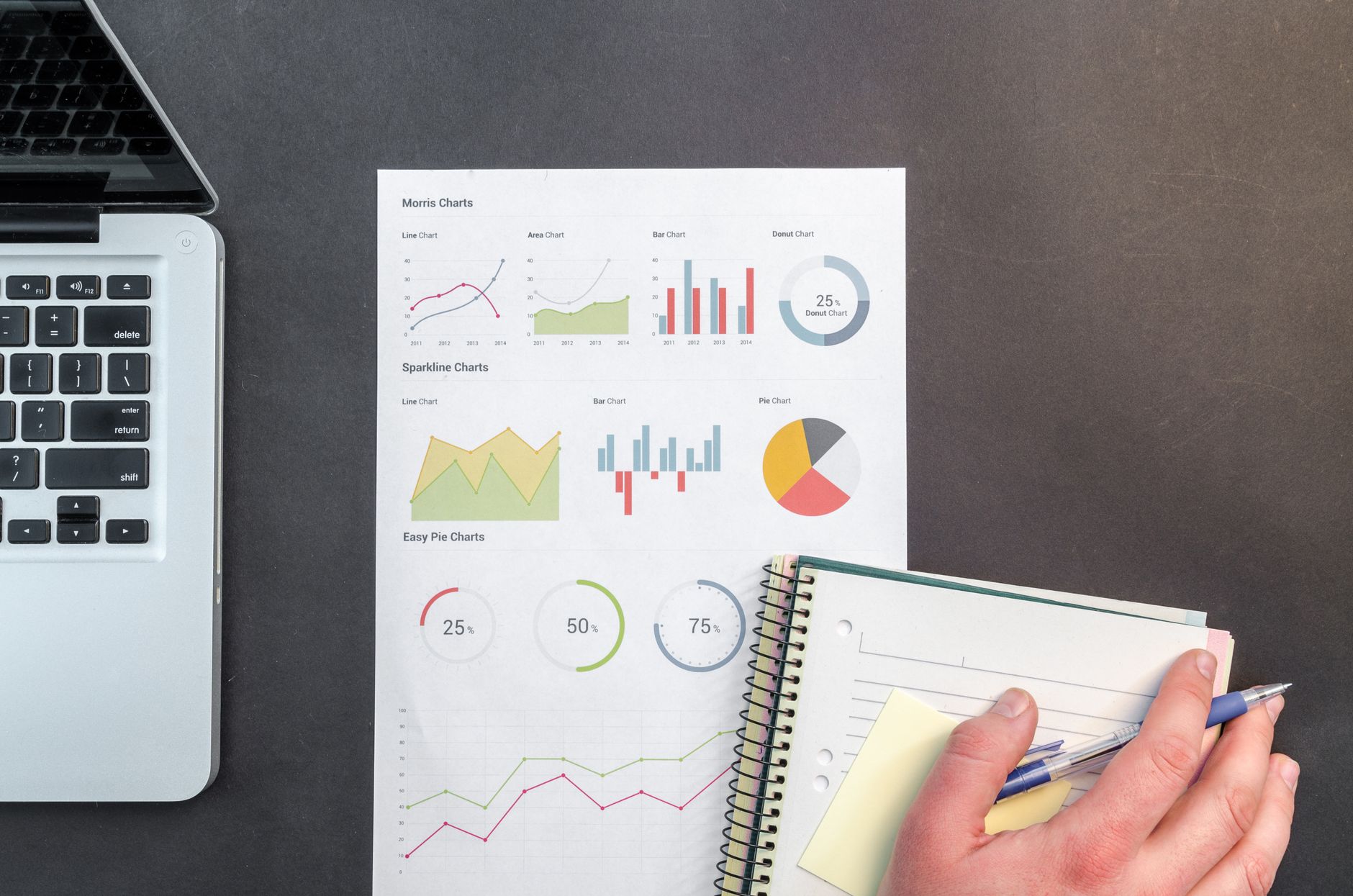 SEOjama free SEO audit tool scoring a website across multiple on-page factors