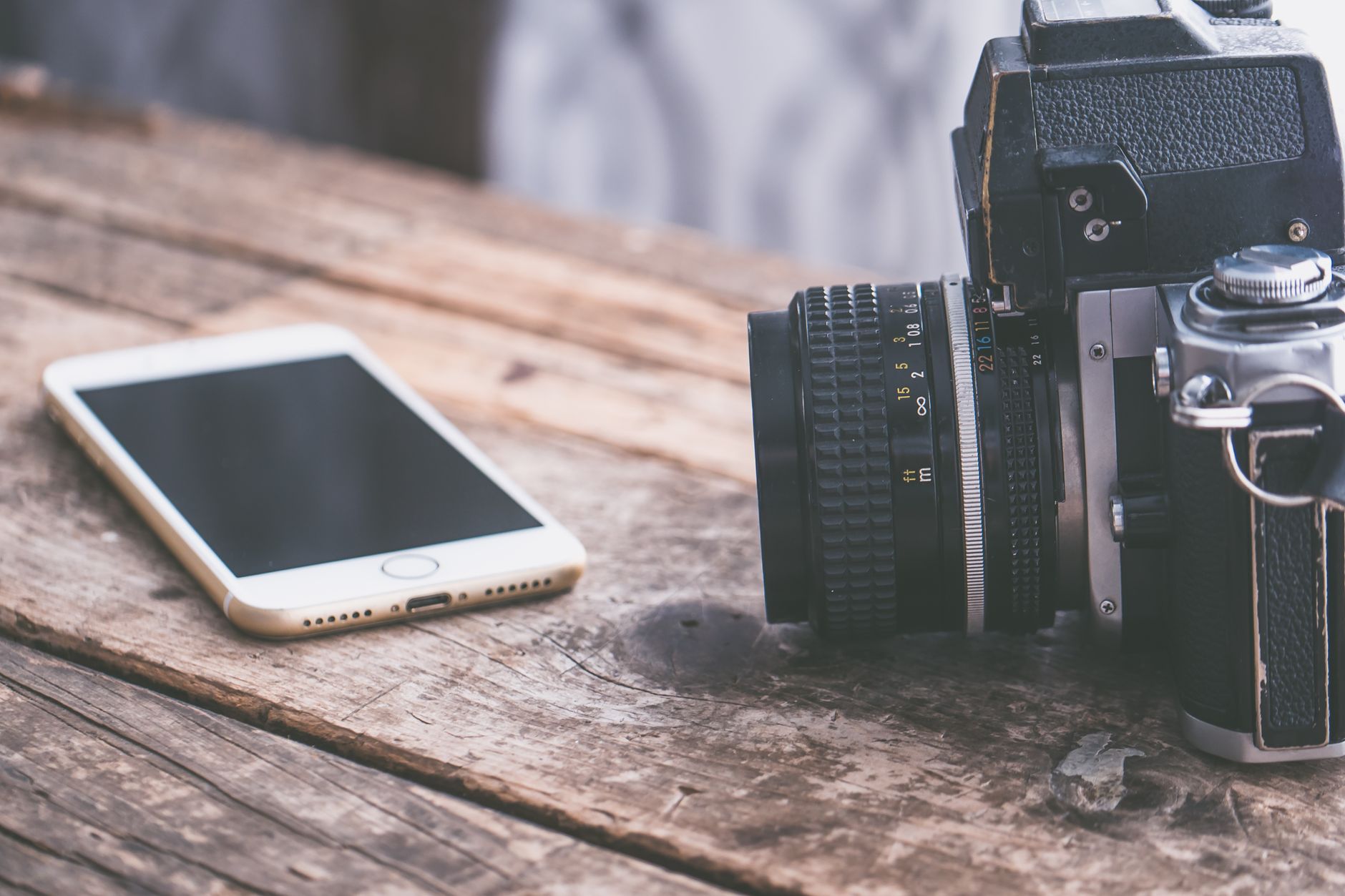 Free SEO Checker vs Paid Tools: What You Actually Get (And What You Don't) in 2026