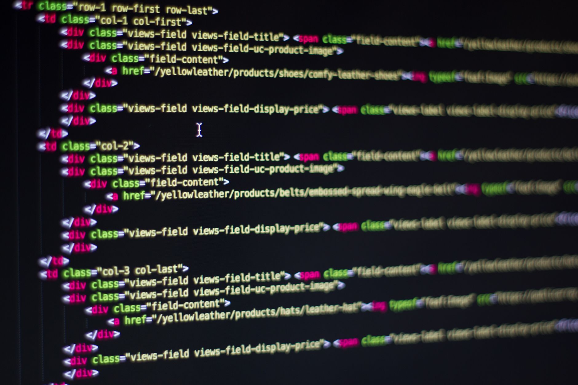 Robots.txt file open in a code editor showing disallow rules