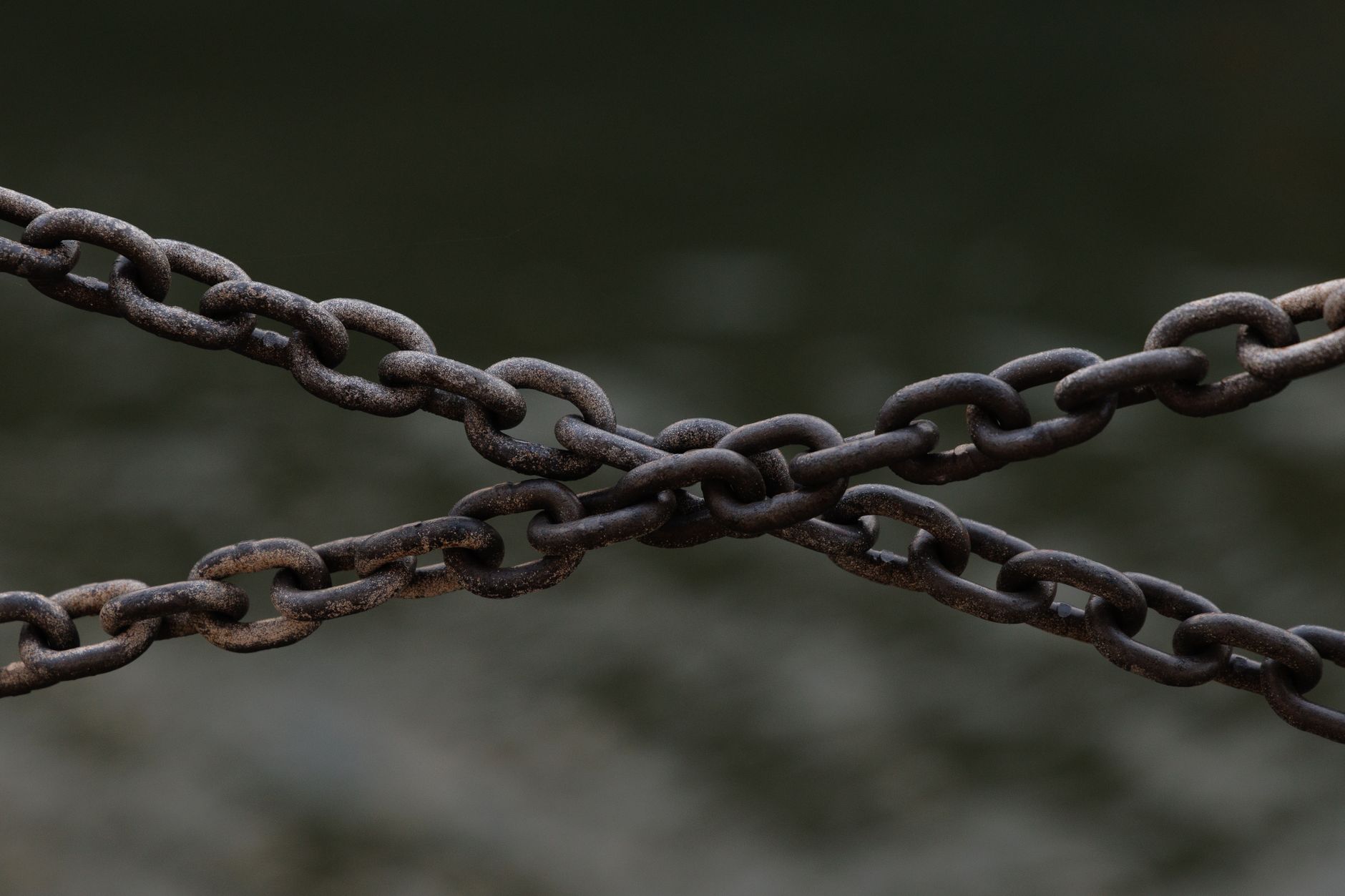 Internal linking analysis dashboard displaying anchor text diversity and link distribution metrics