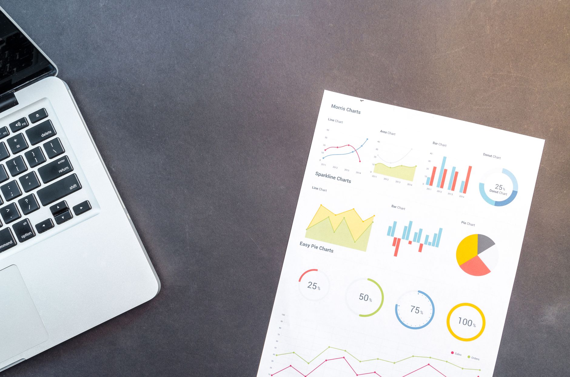 SEO audit dashboard showing website analysis results