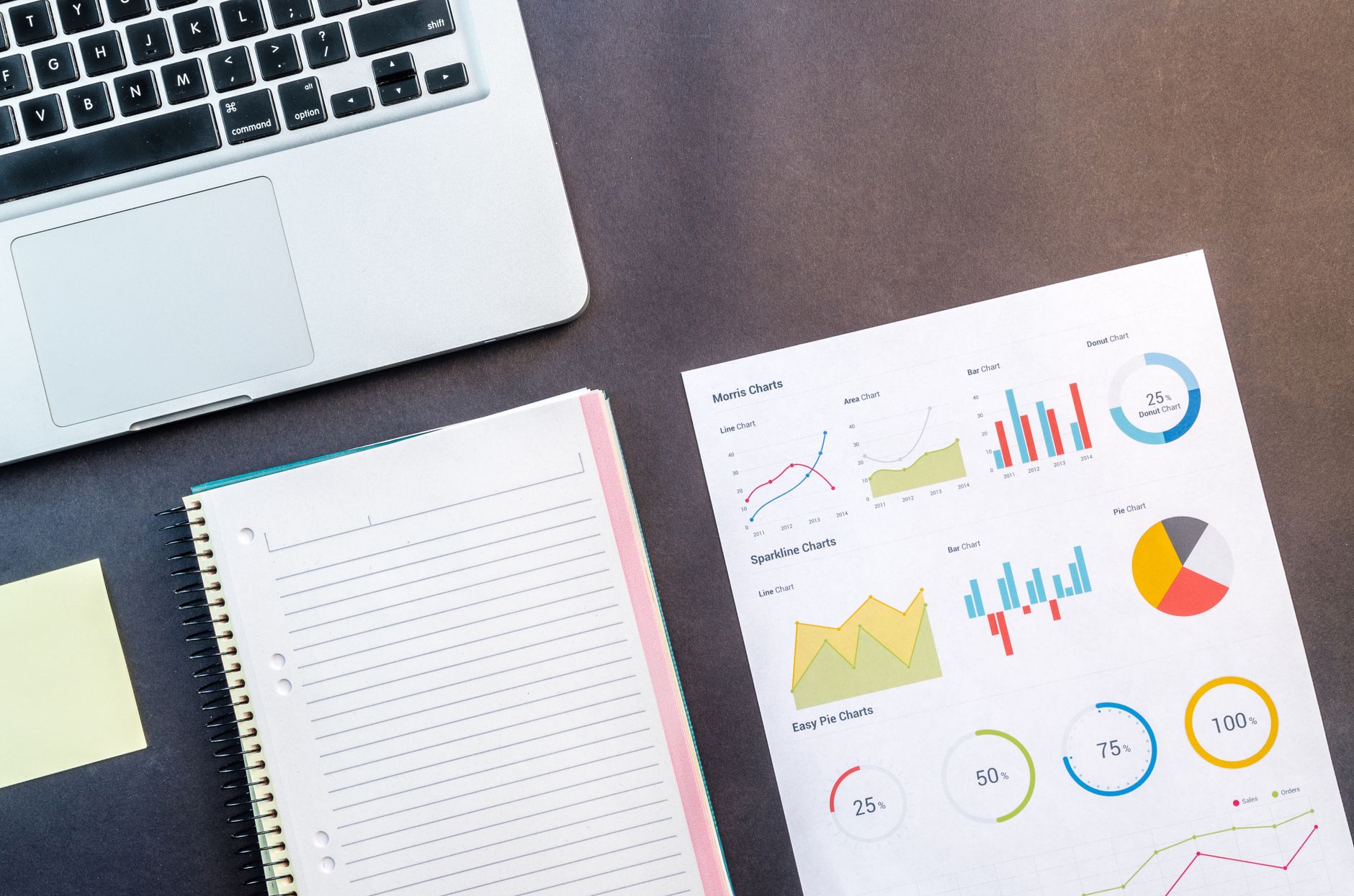 SEO audit results showing scores and recommendations