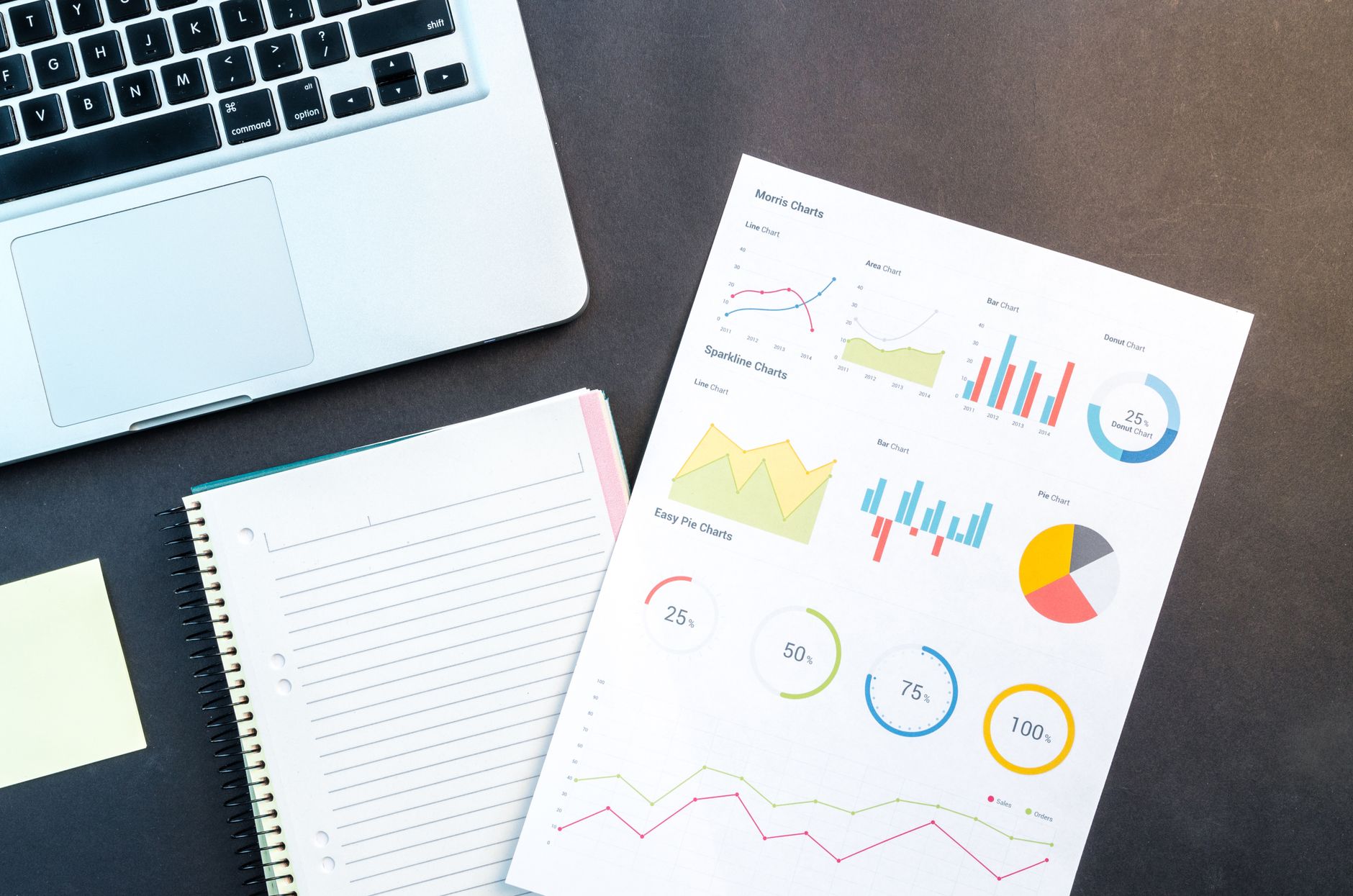 SEO audit dashboard showing website analysis results