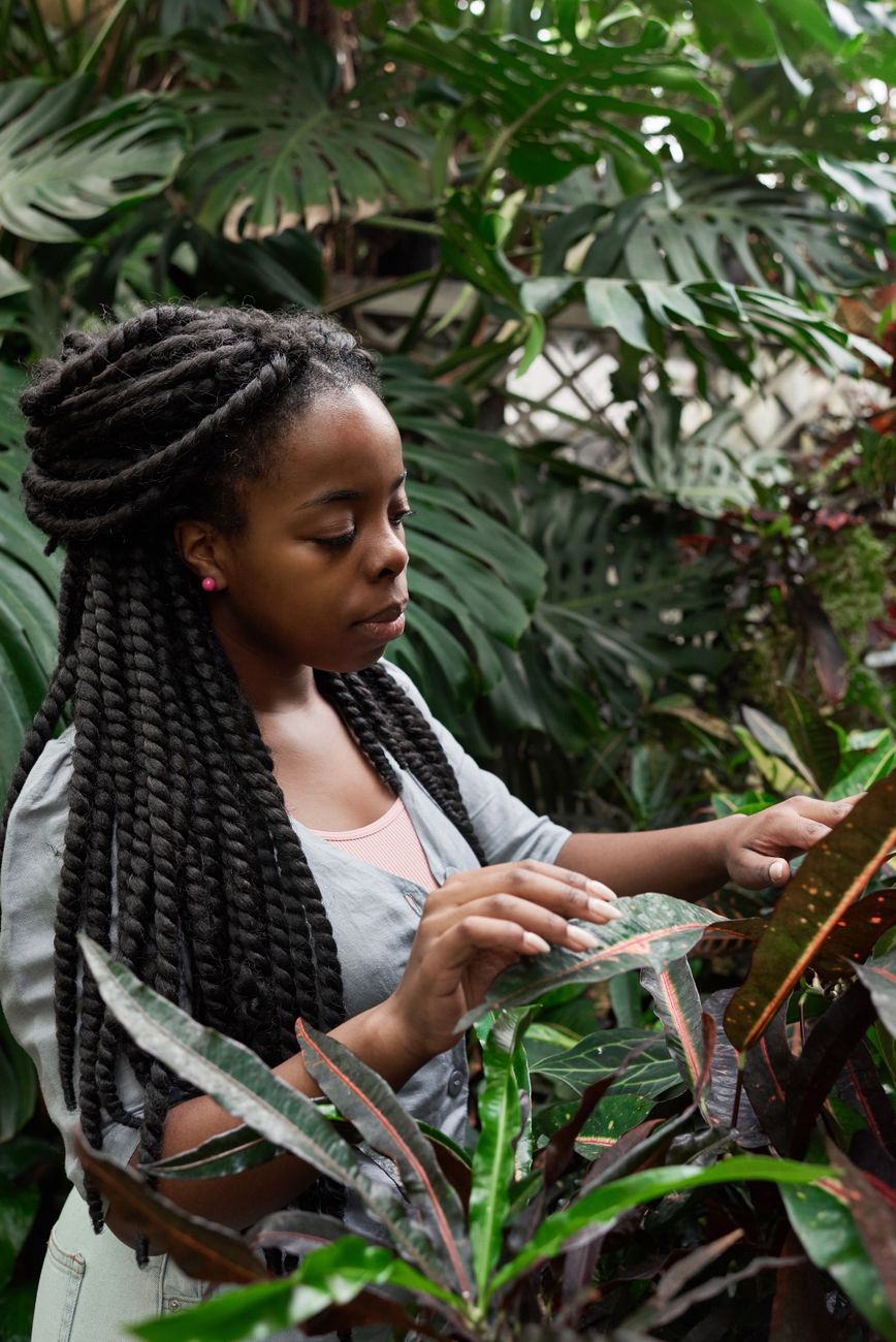 Natural hair care products with African botanical ingredients on wooden surface