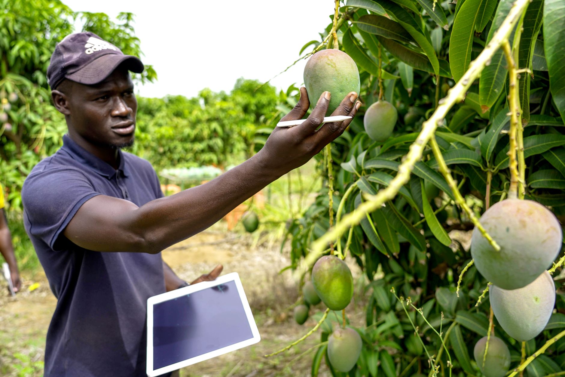 Climate AI in Africa: Startups, Research Hubs, and Funding Opportunities to Watch in 2026