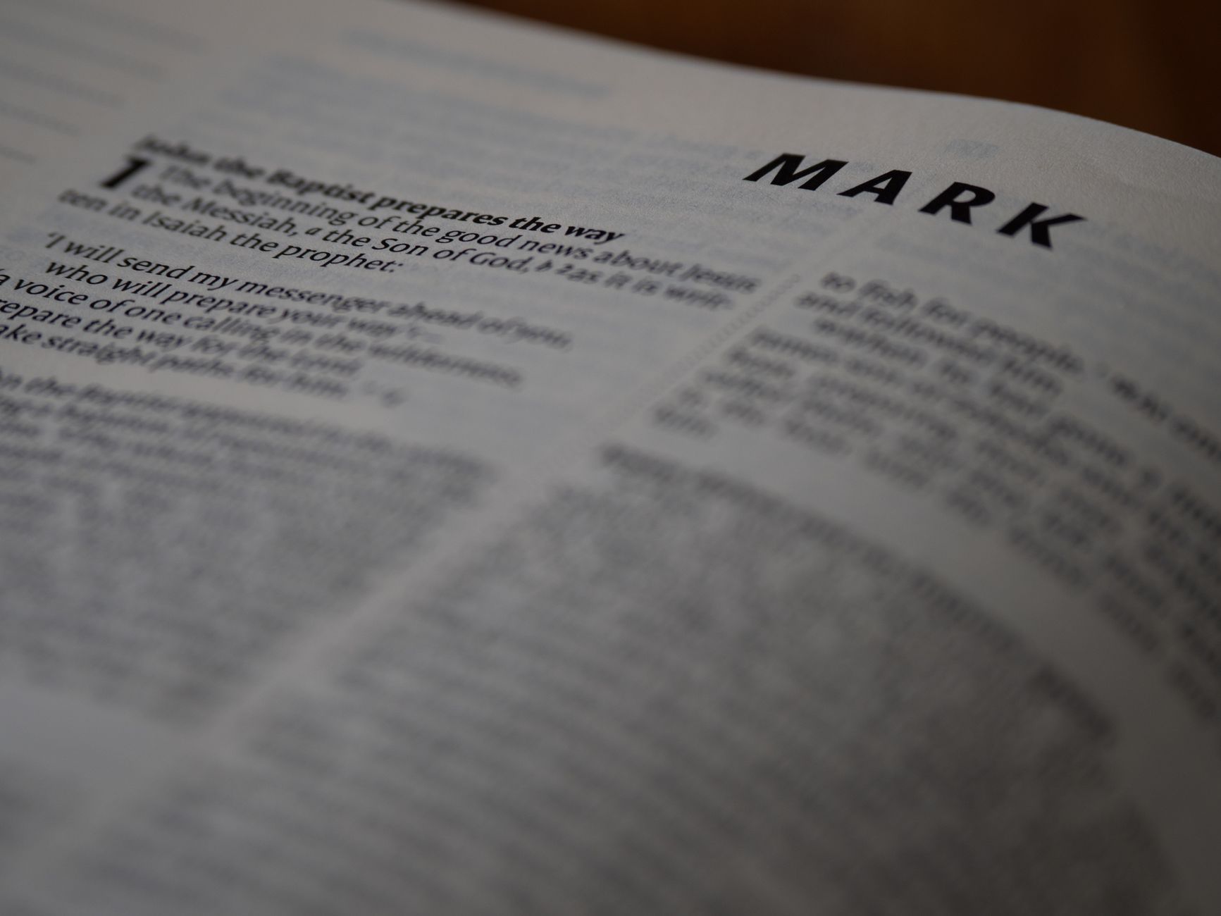 Open Amplified Bible showing expanded text with multiple word choices
