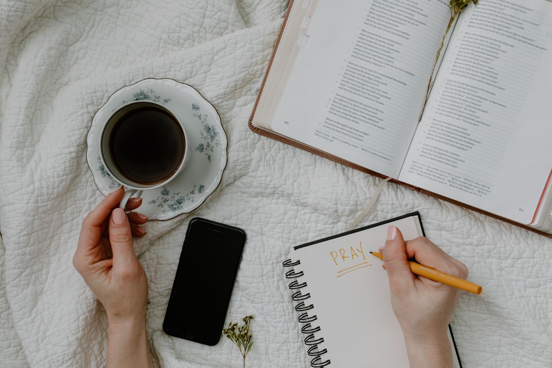 Person using smartphone for Bible study with reading plan interface