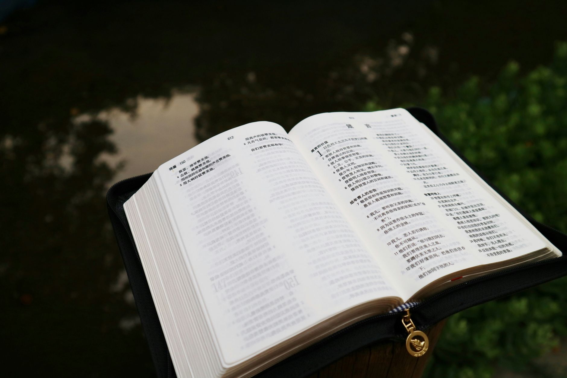 Screenshot of BibleHub parallel Bible translations interface