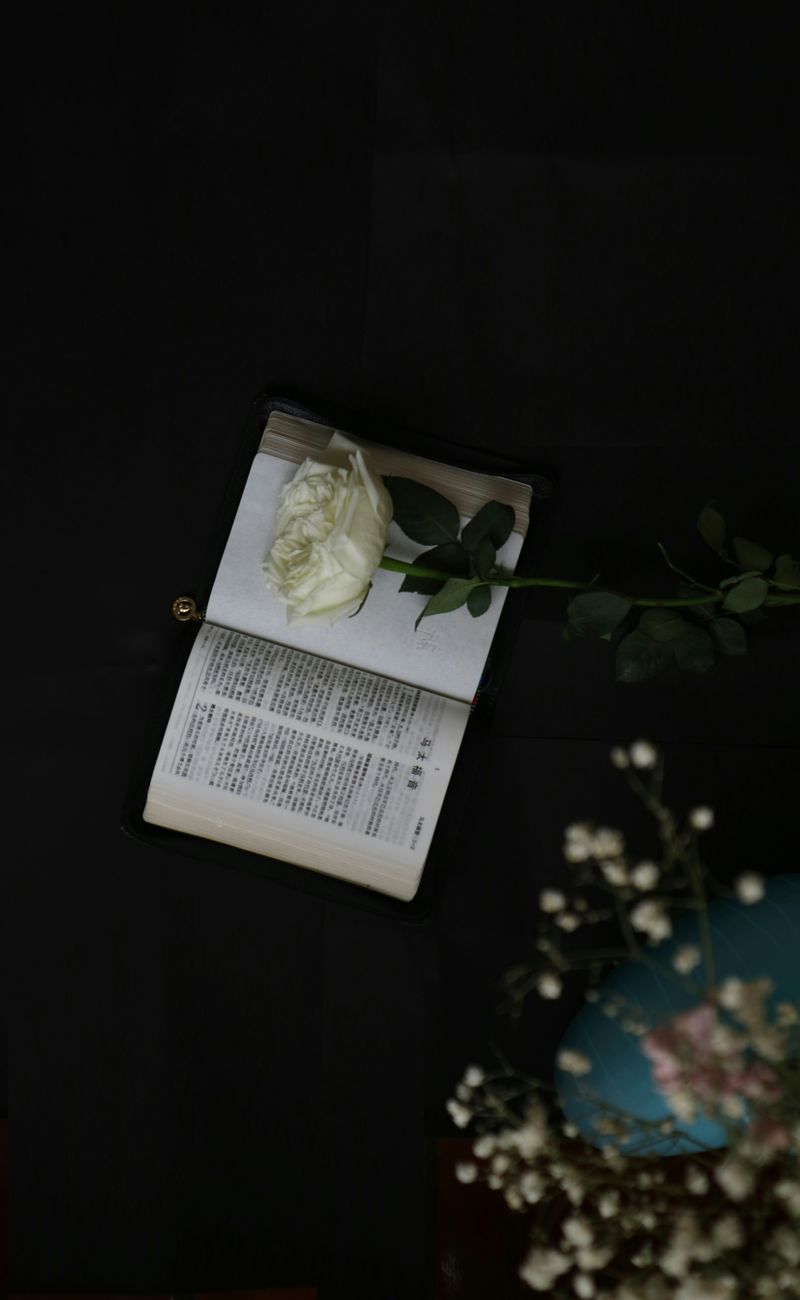 Bible study app showing cross-references and commentary on a smartphone screen