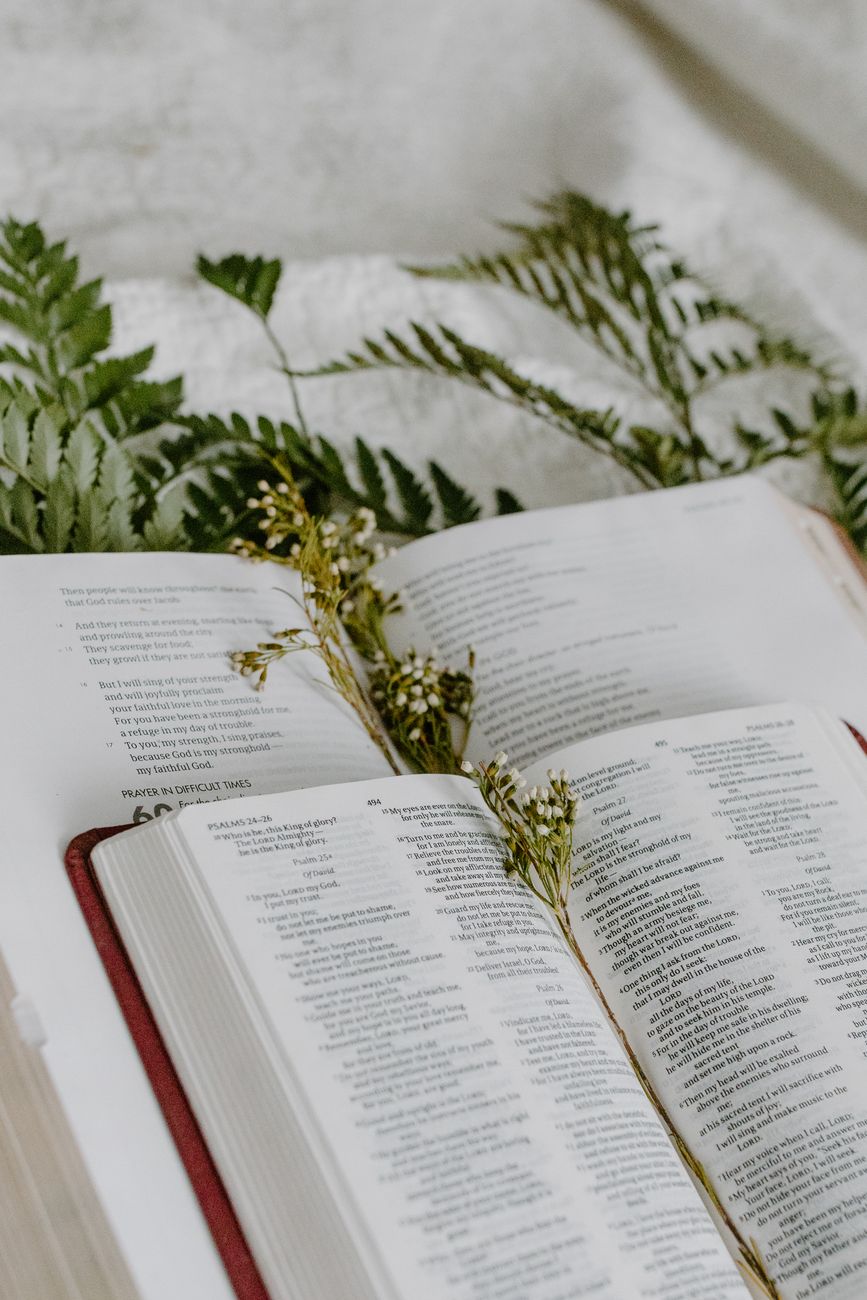 Olive Tree Bible Study app showing split-screen commentary and scripture on Android