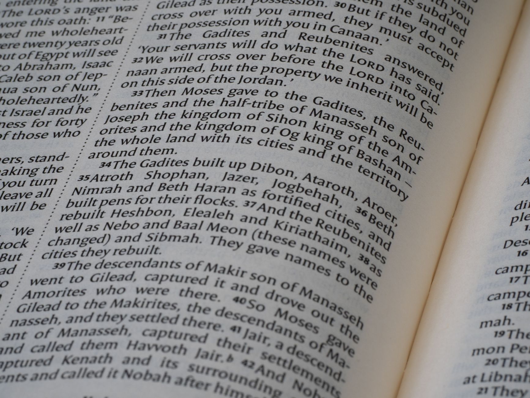 NASB Bible with Greek lexicon and concordance open on a study desk