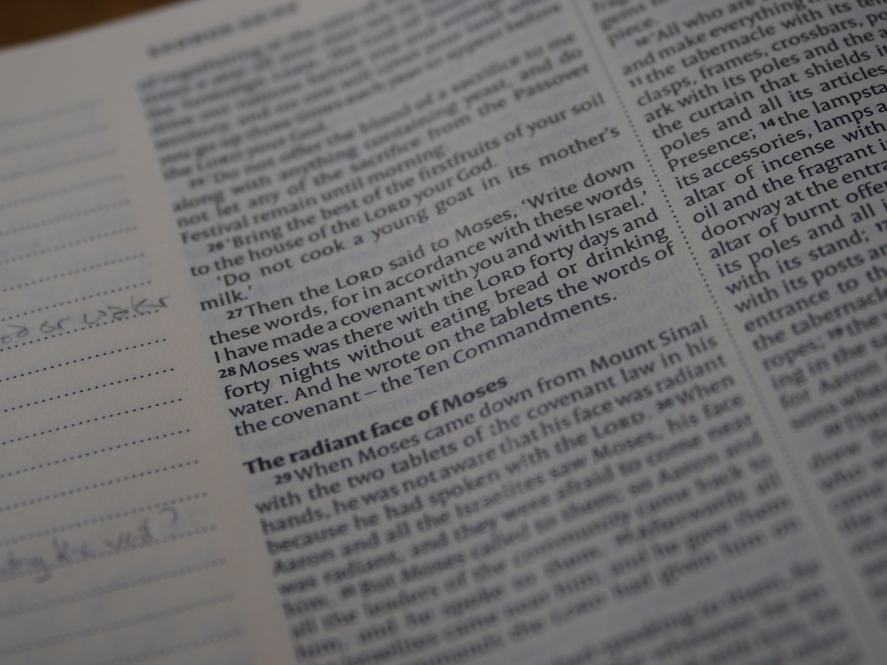 Prism Bible App interface showing scripture analysis and cross-references on Android