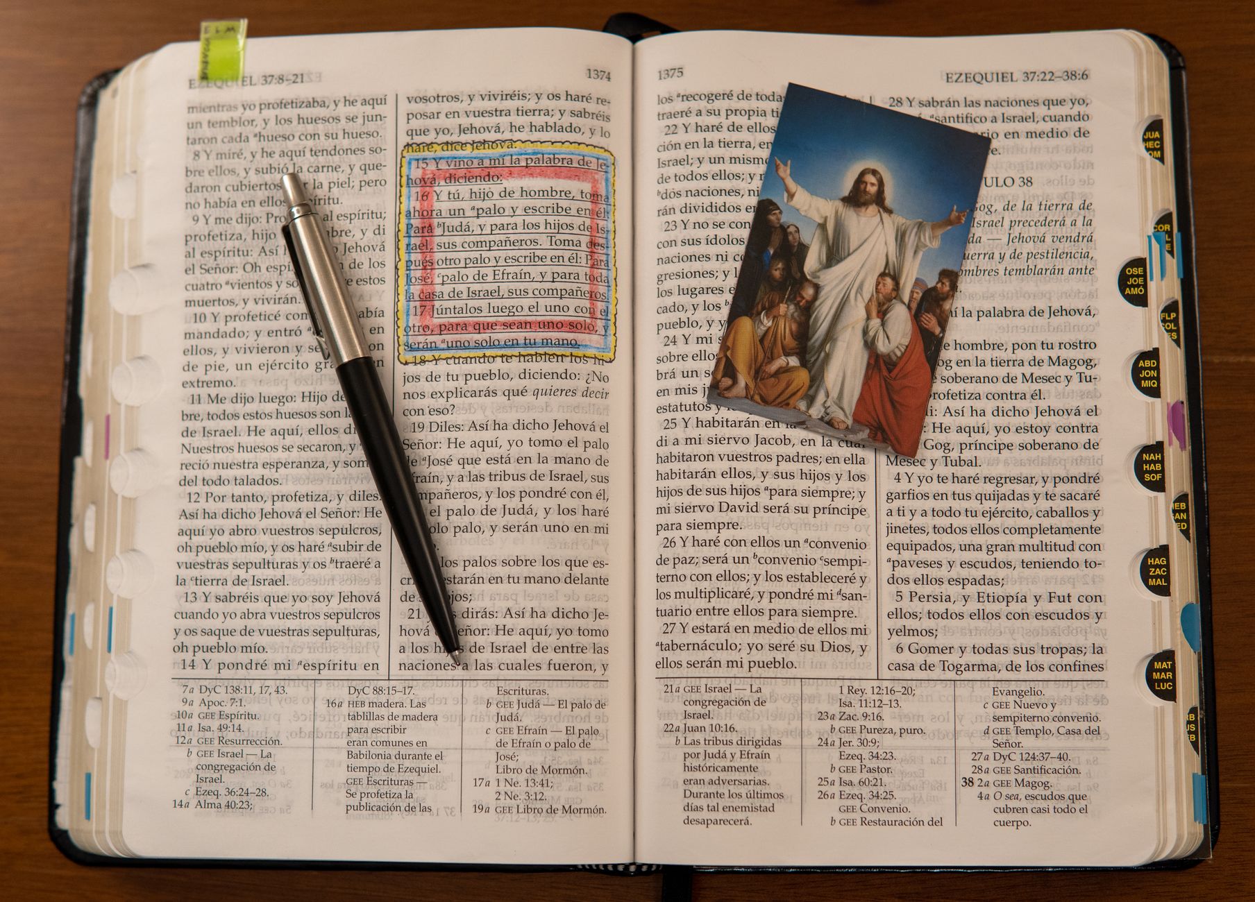 Smartphone showing a Bible reading app with a verse highlighted on screen