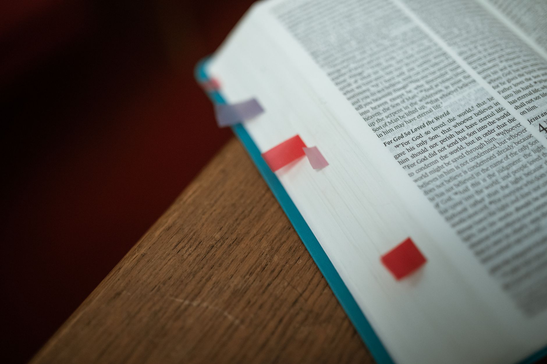 Tecarta Bible App showing highlighted verses and bookmarks on a mobile phone