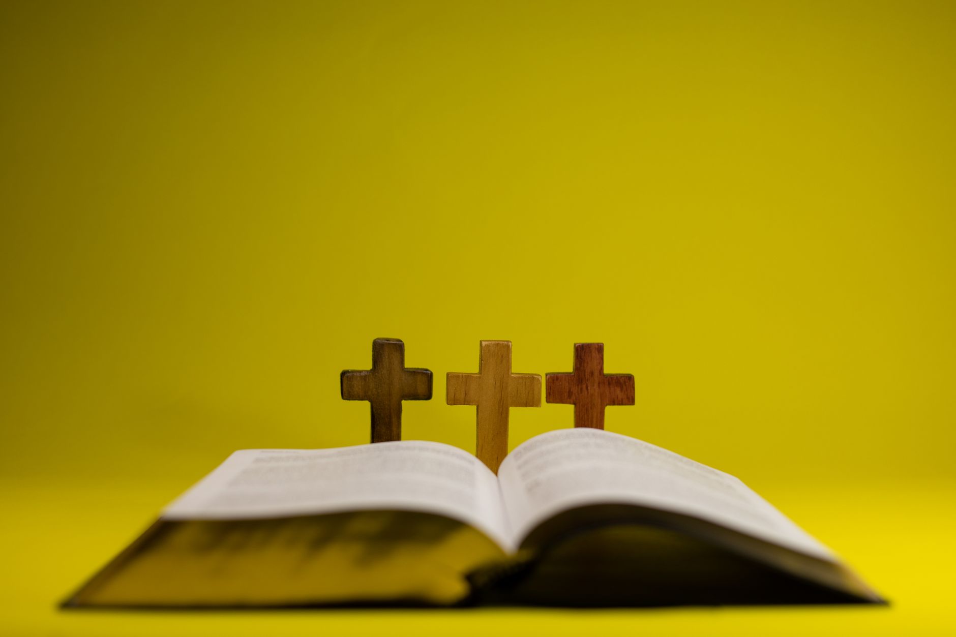 Close-up of Bible app screen showing highlights, notes, and cross-references