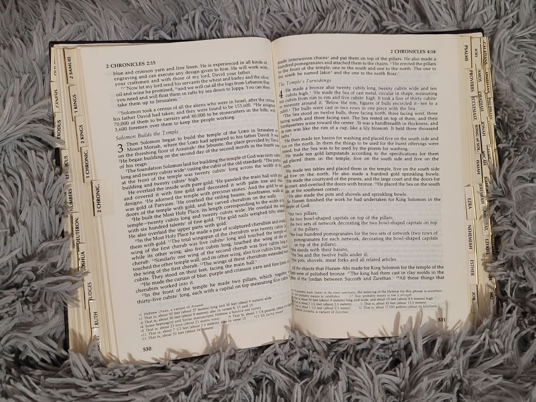 Open Bible showing different book genres highlighted with colored tabs
