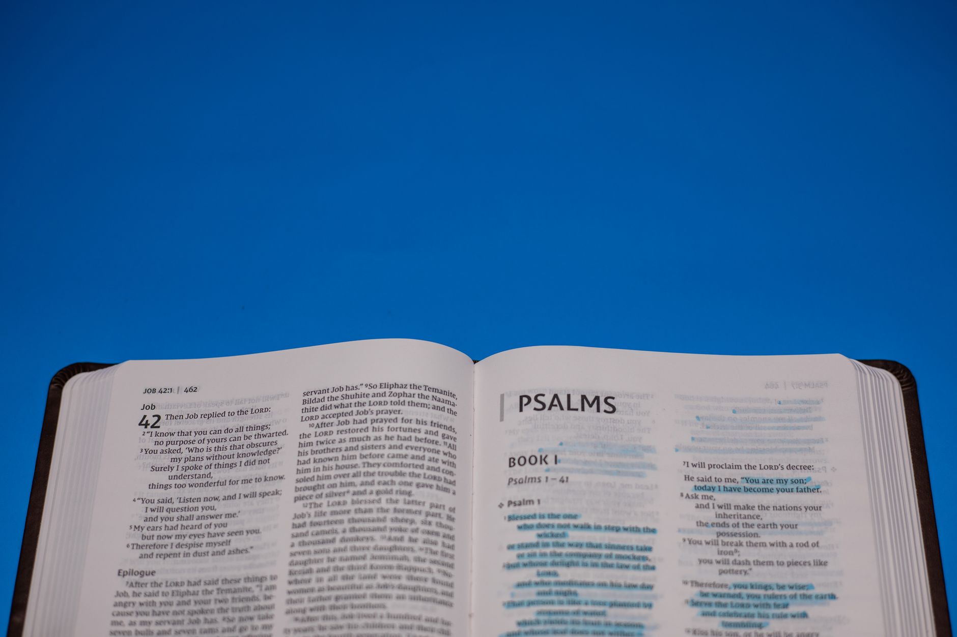 Prism Bible App scripture study interface showing cross-references and translations