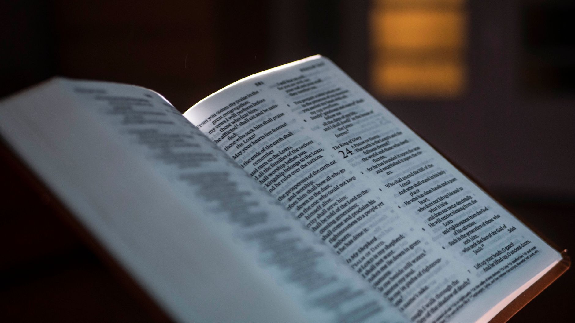 bible app showing cross reference connections